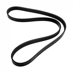 Mercruiser Serpentine Belt...